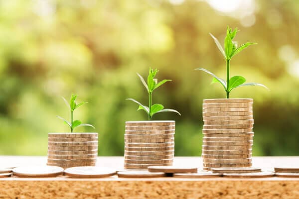 Geld Sparen DairySafe 1 JOSERA save money
