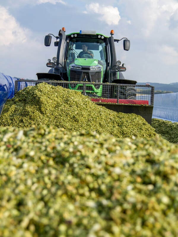 Haecksellaenge Mais Silage 1 JOSILAC silo stick during compaction