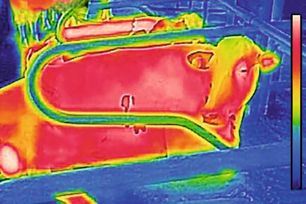 JOSERA cow in thermal imaging camera