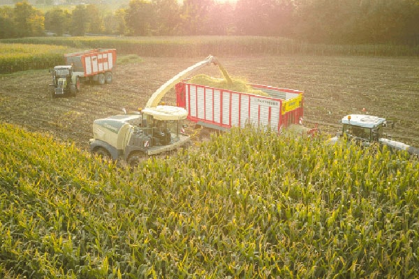 JOSILAC machines during the maize harvest