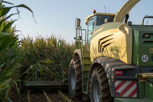 Maissilage Erntezeitpunkt 2 JOSILIAC machine during harvest