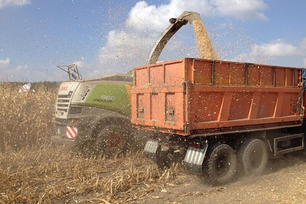 JOSILAC machines harvesting maize