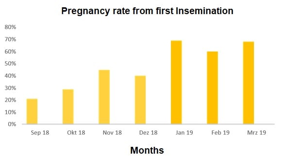 JOSERA graphic shows pregnancy rate form first Insemination