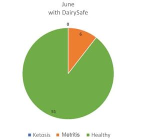 JOSERA graphic shows june with DairySafe