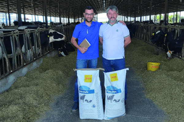 JOSERA DairySafe – for better animal health and milk yield