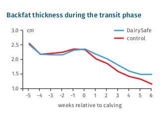 X JOSERA 19 24908 Flyer DairySafe GB Ld RZ High JOSERA graphic shows backfat thickness during the transit phase
