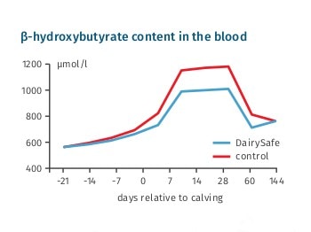X JOSERA 19 24908 Flyer DairySafe GB Ld RZ High 2 JOSERA graphic shows ß-hydroxybutyrate content in the blood