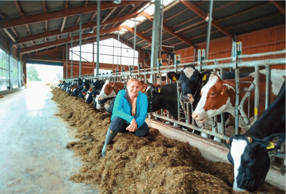 JOSILAC - silage inoculant to keep a high-quality forage