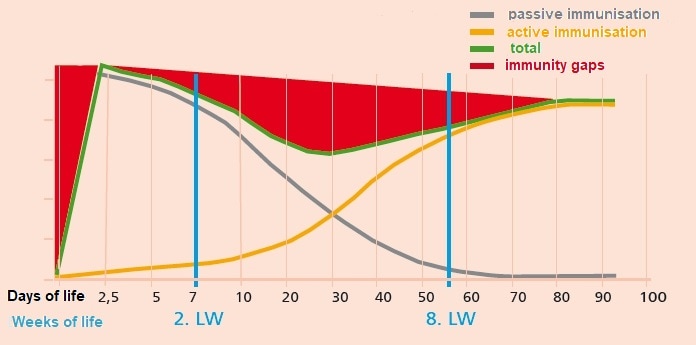 JOSERA graphic shows immunisation in different days of life