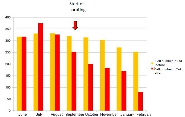 Praxisfall Tabelle 3 1 JOSERA table shows cell numbers of caroting