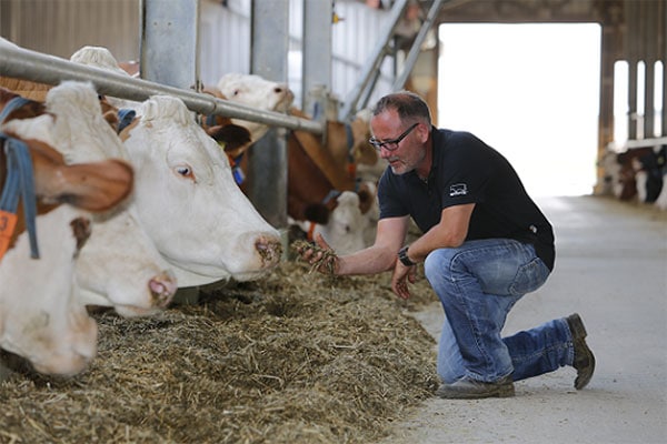 Success stories with DairyPilot